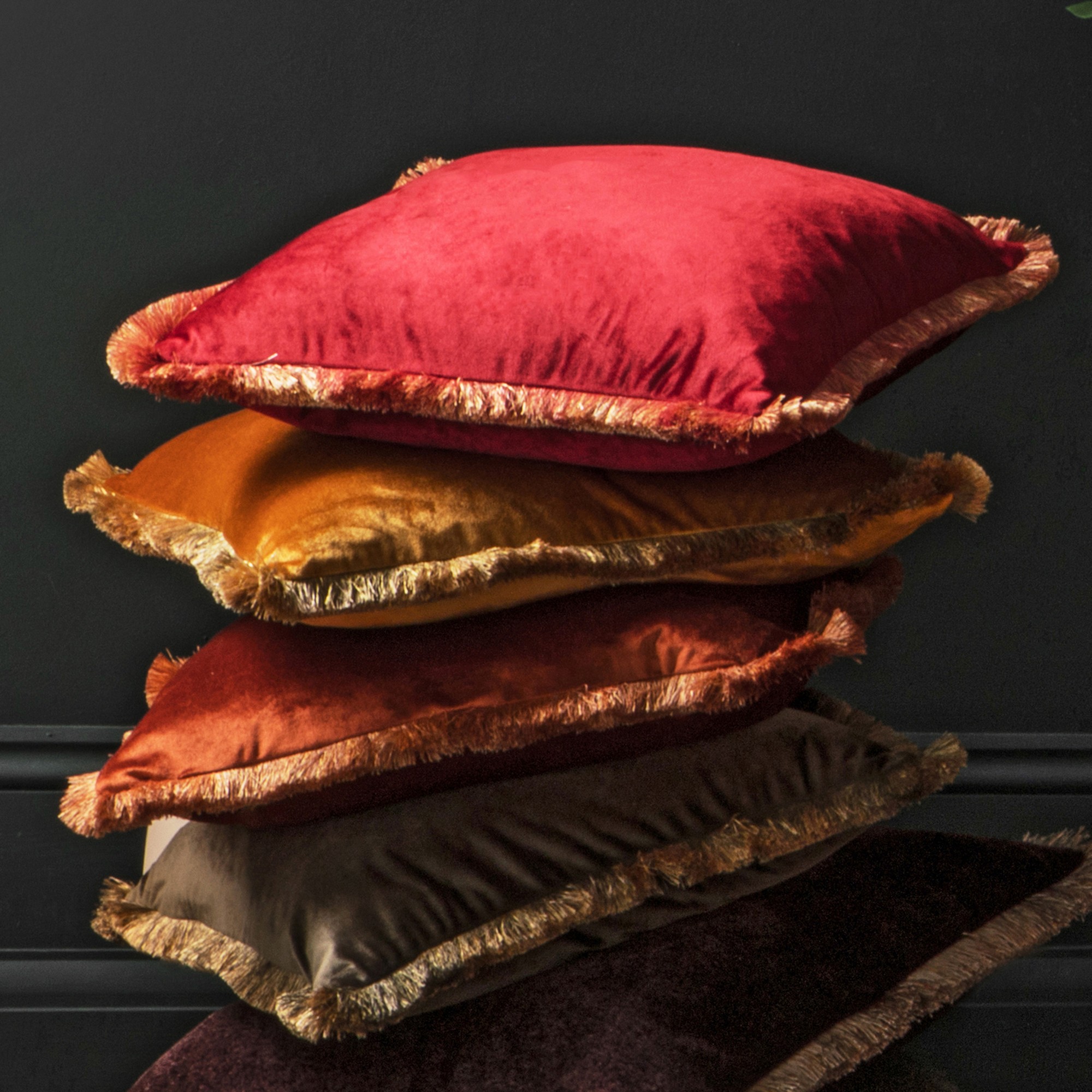 Velvet 2024 fringe pillow